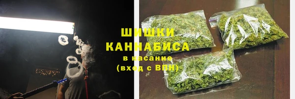 spice Вяземский